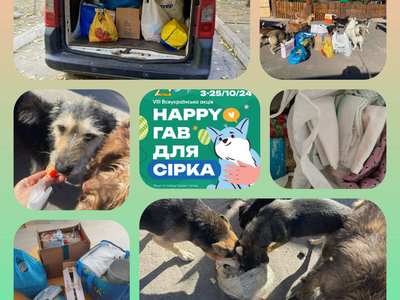 IX Всеукраїнська акція "Happy Гав для Сірка"